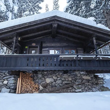 Kitzkopf Huette Domek alpejski Mayrhofen